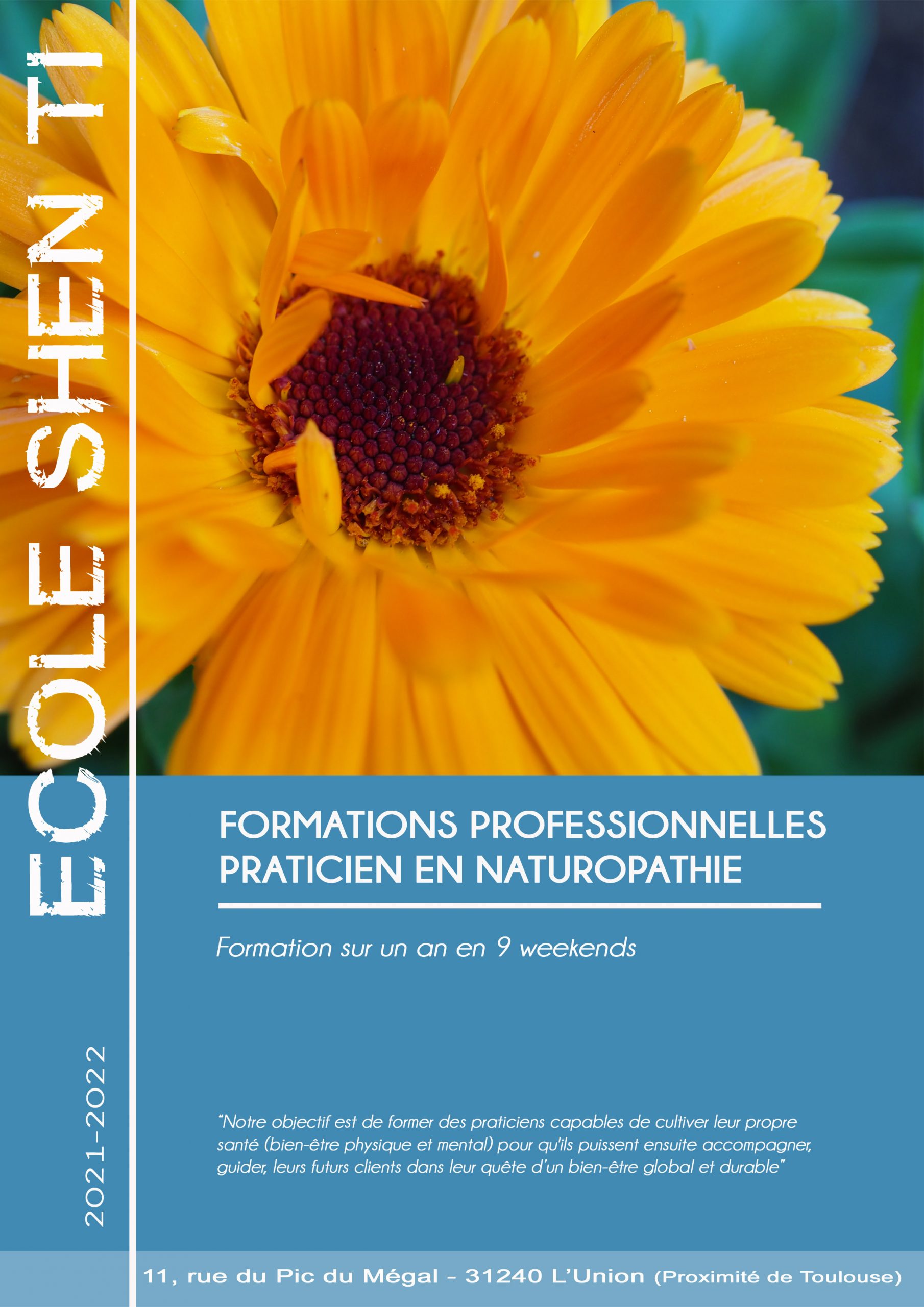 formation naturopathie toulouse