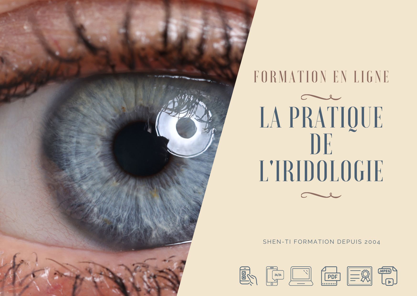 FORMATION IRIDOLOGIE A DISTANCE EN LIGNE E-LEARNING